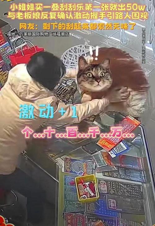 长沙爆料真实视频,视频记录惊人瞬间